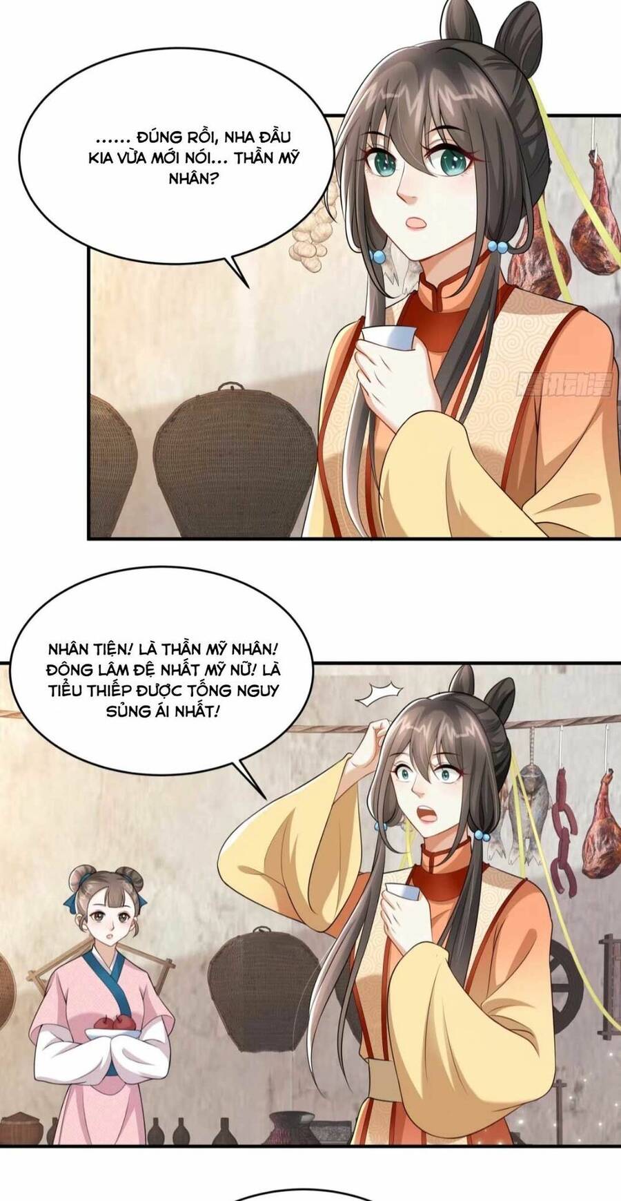 Xuyên Qua Làm Vương Phi Xinh Đẹp Của Vương Gia Chapter 7 - 22