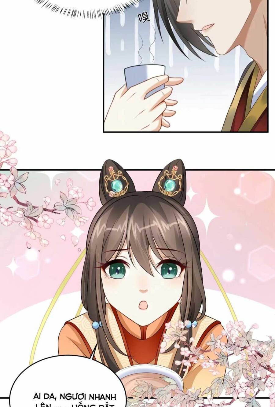 Xuyên Qua Làm Vương Phi Xinh Đẹp Của Vương Gia Chapter 7 - 7
