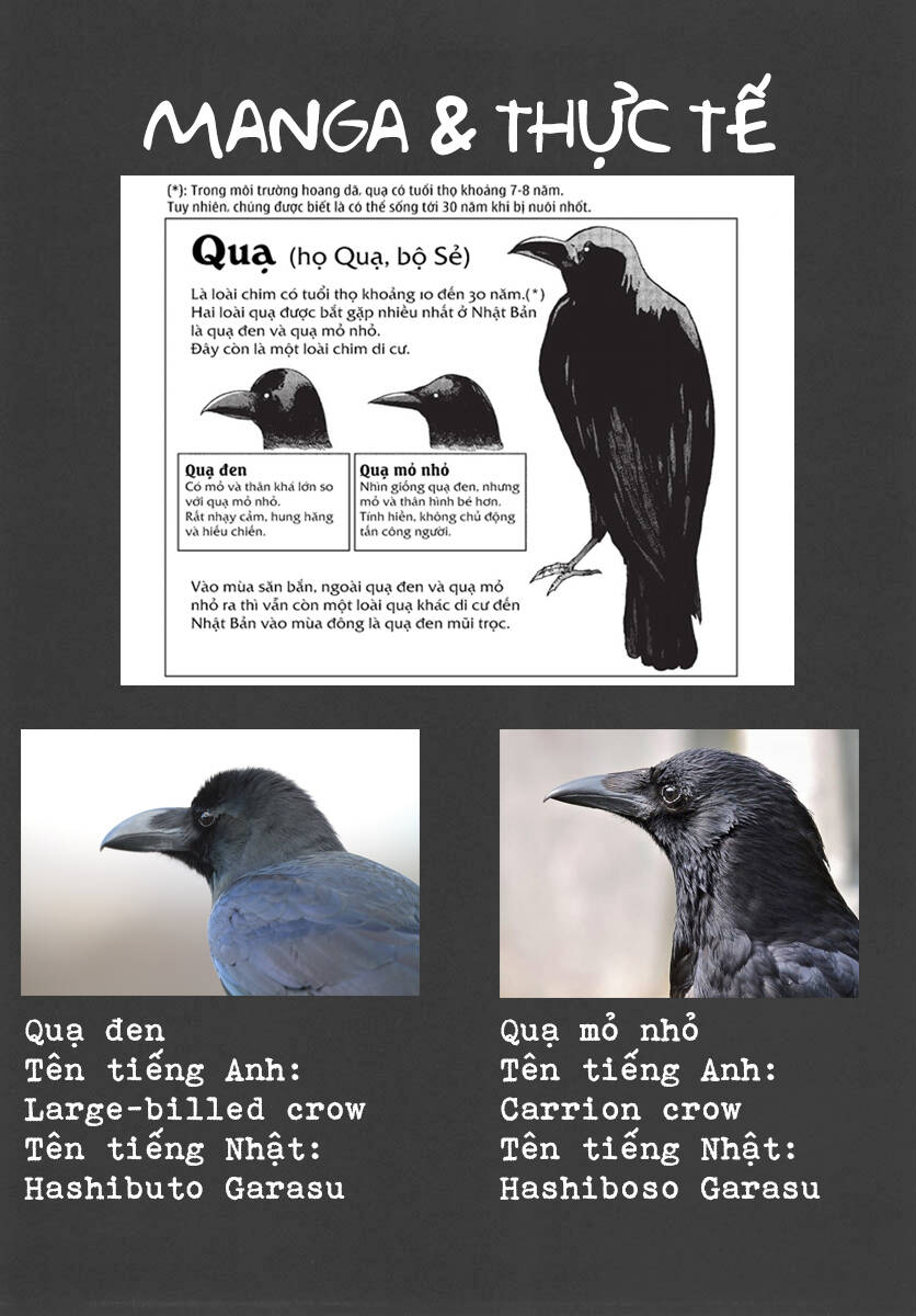 Trap Girl Chapter 6 - 33