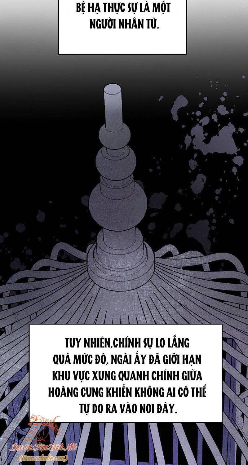 Lấy Đi Trái Tim Nàng Tiên Cá Chapter 1 - 60