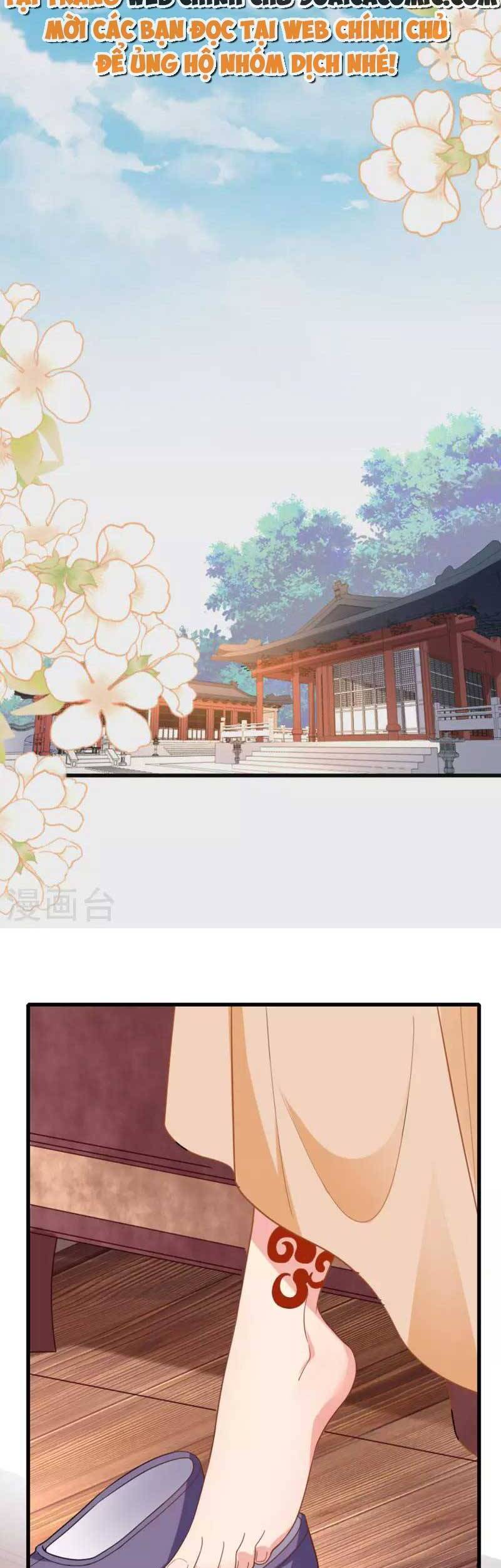 Tướng Quân, Bổn Phi Không Nhận Sủng Chapter 18 - 21