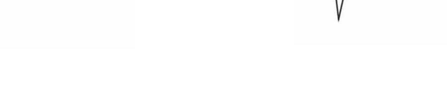 Tướng Quân, Bổn Phi Không Nhận Sủng Chapter 18 - 6