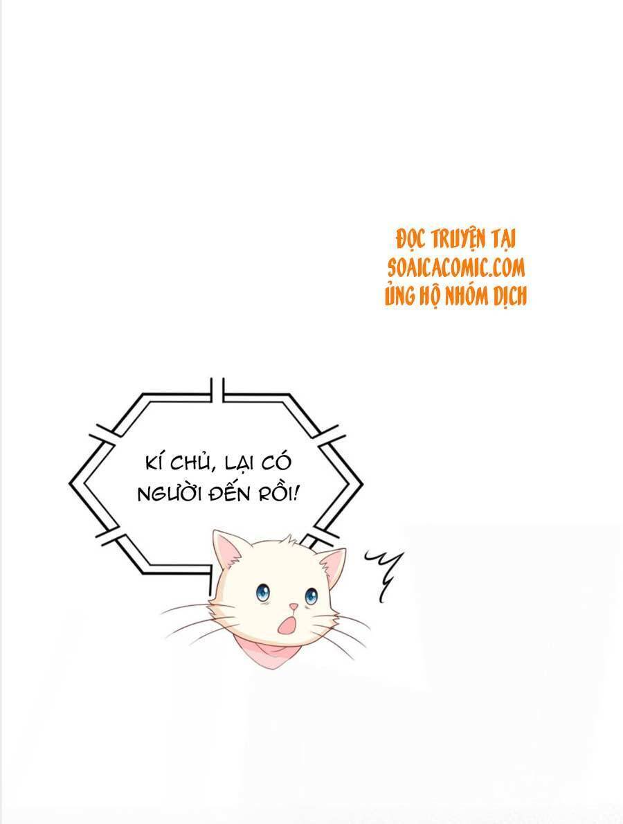 Dã Nam Nhân Đều Muốn Gả Cho Ta Chapter 18 - 16