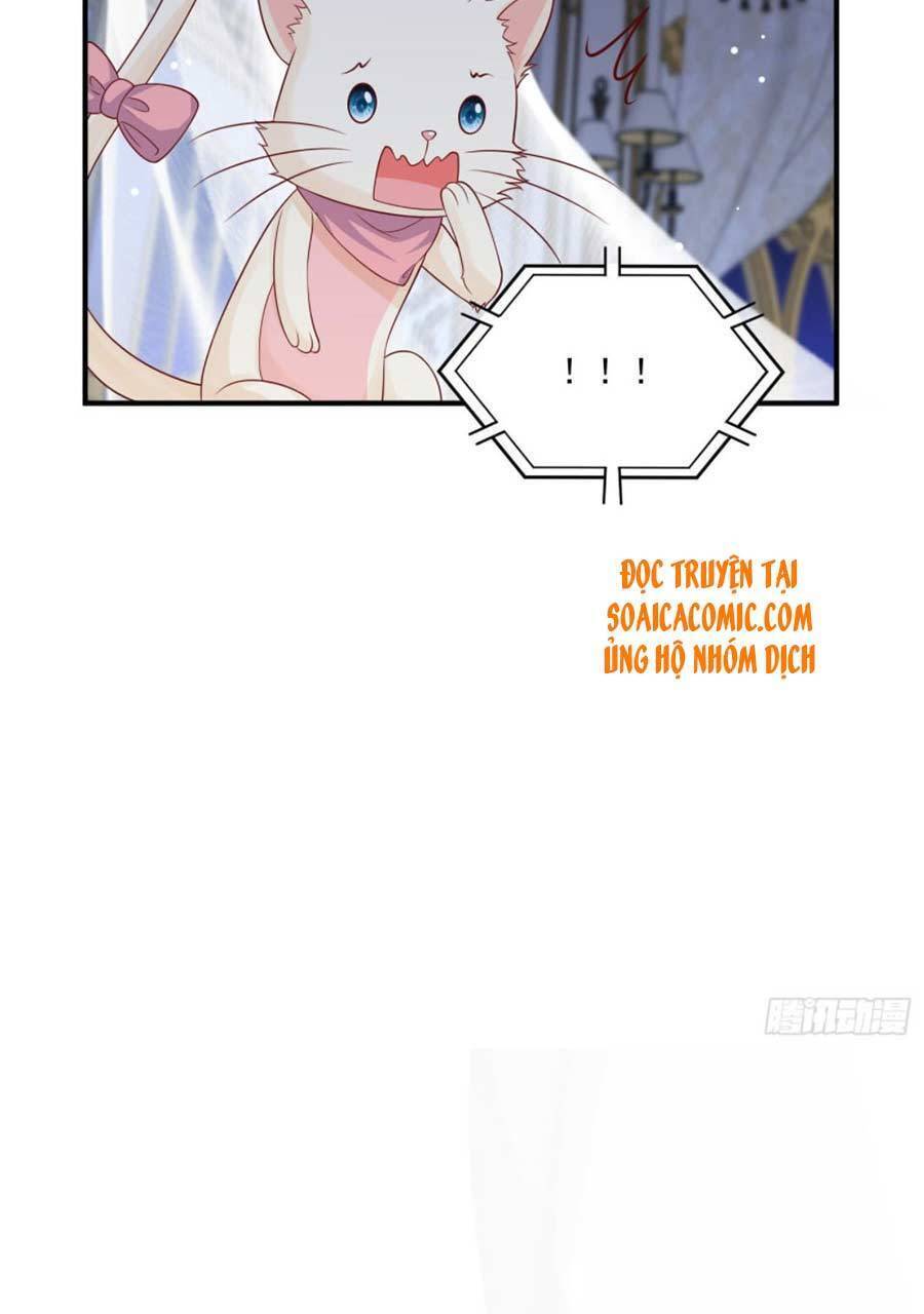 Dã Nam Nhân Đều Muốn Gả Cho Ta Chapter 18 - 5