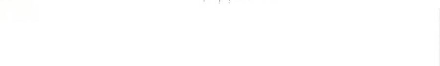 Tôi Tỏ Tình Với Kẻ Thù Của Tôi Chapter 10 - 41