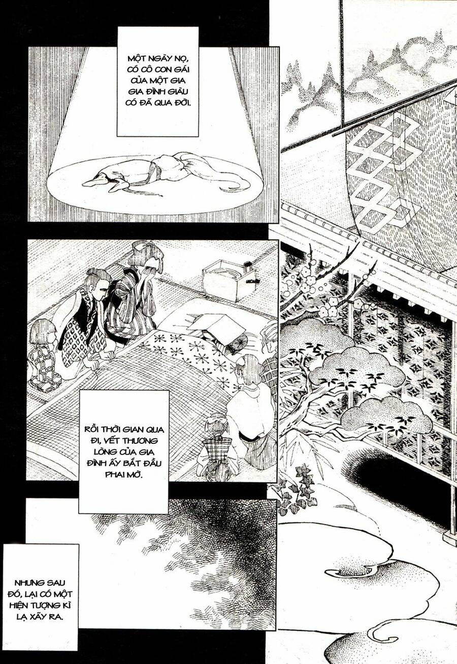 Touhou Suzunaan ~ Forbidden Scrollery Chapter 16 - 3