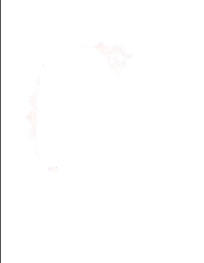 Từ Ác Nữ, Tôi Trở Thành Một Người Mẹ Chapter 13 - 22