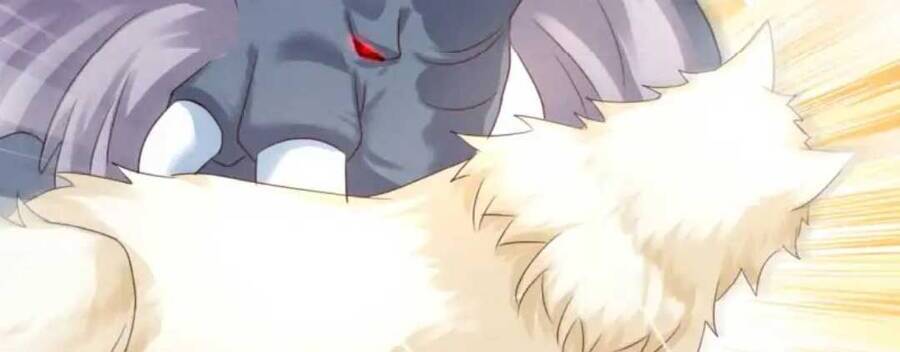 Thần Phi Ngự Thiên Hạ Chapter 2 - 17