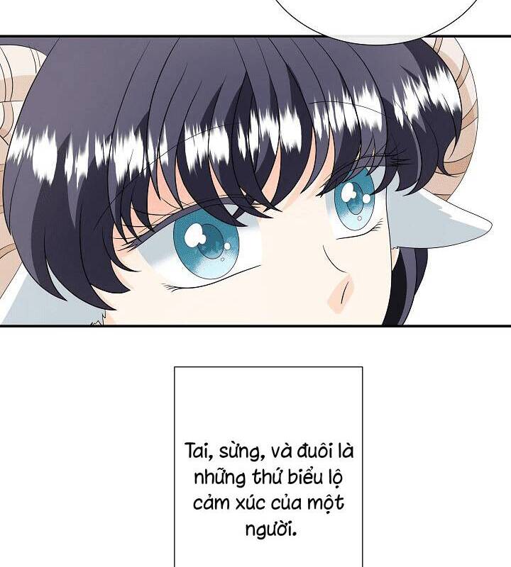 Tôi Là Sói, Nhưng Tôi Sẽ Không Làm Hại Em Chapter 29 - 13