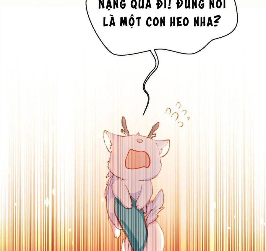 Sau Khi Nhặt Được Trứng Rồng, Ta Quyết Định Nuôi Hắn Trở Nên Xấu Xa Chapter 1 - 41
