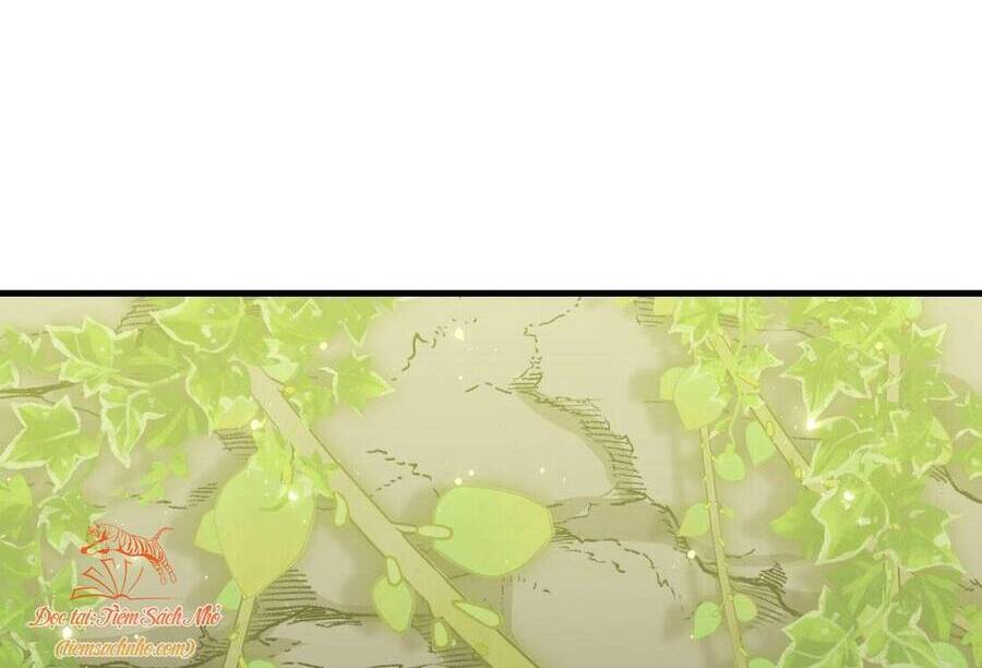 Sau Khi Nhặt Được Trứng Rồng, Ta Quyết Định Nuôi Hắn Trở Nên Xấu Xa Chapter 4 - 2