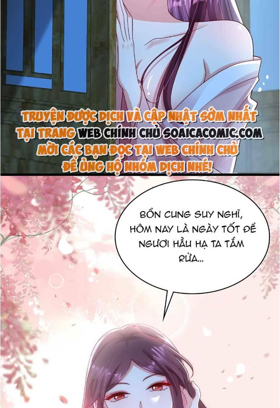 Ta Live Stream Ngược Đãi Nam Chính Chapter 17 - 22