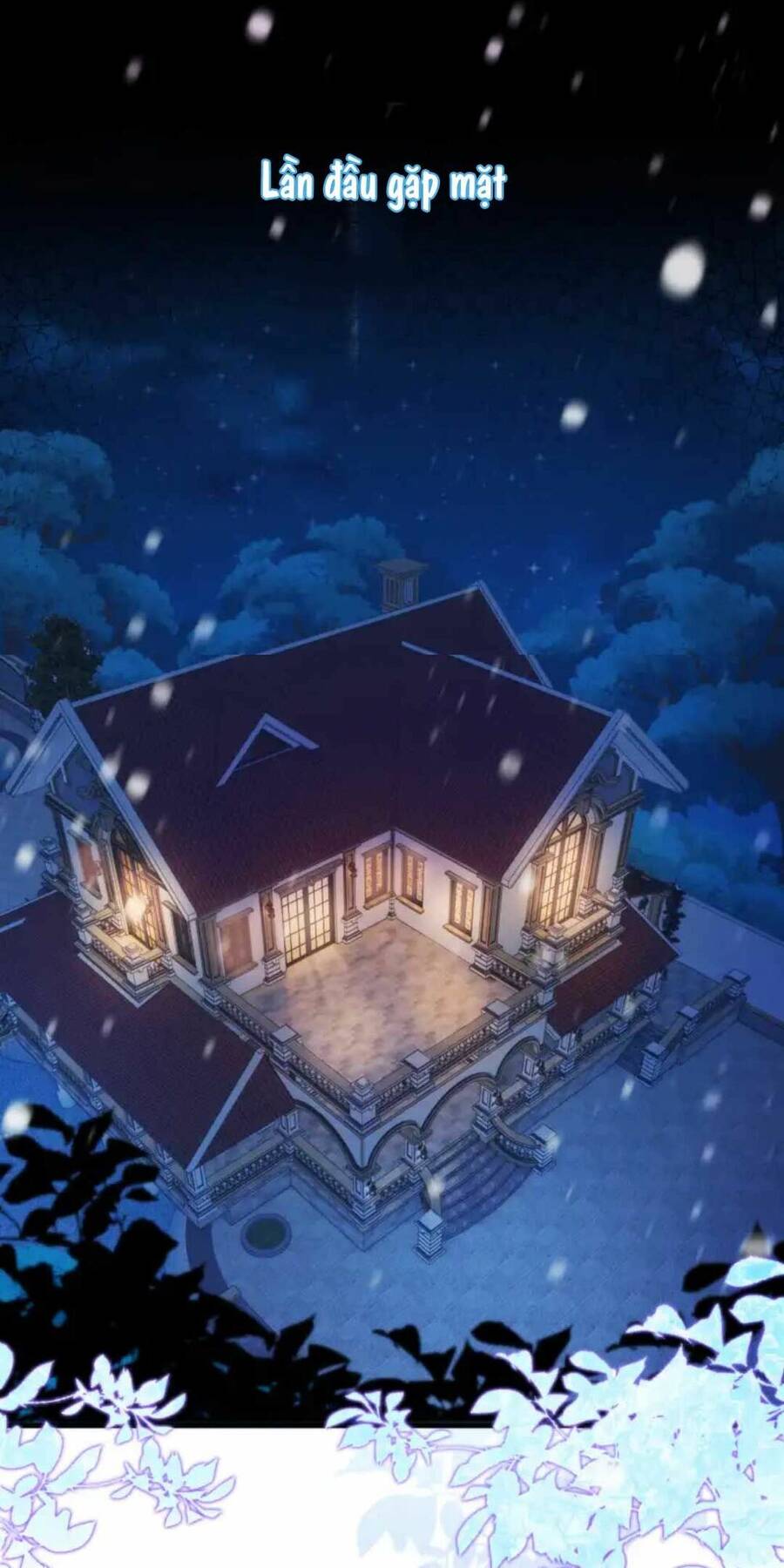 Thế Thân Hào Môn Chapter 1 - 4