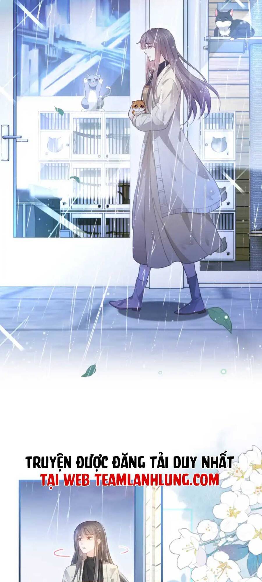 Thế Thân Hào Môn Chapter 8 - 13