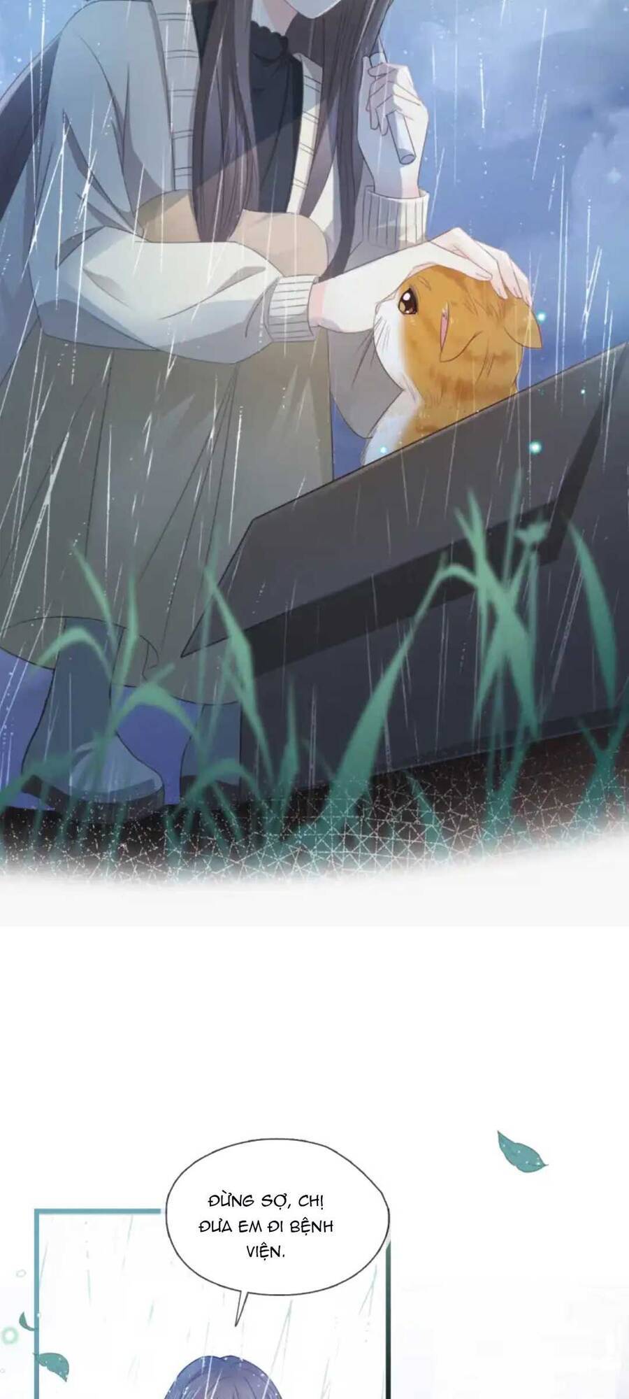 Thế Thân Hào Môn Chapter 8 - 8