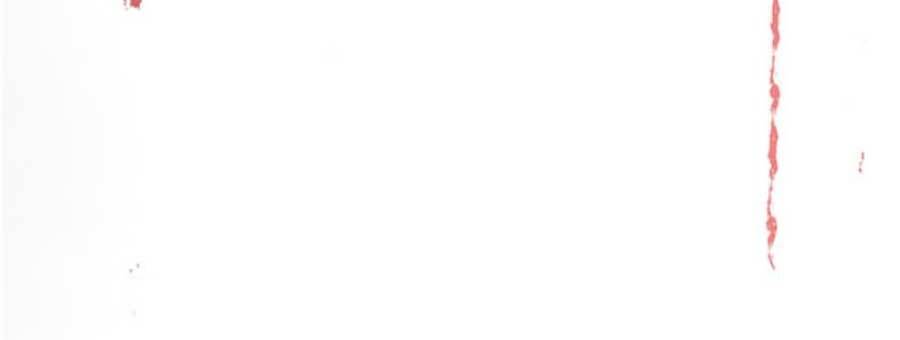 Thần Nữ Hôm Nay Sống Sót Không Chapter 2 - 16