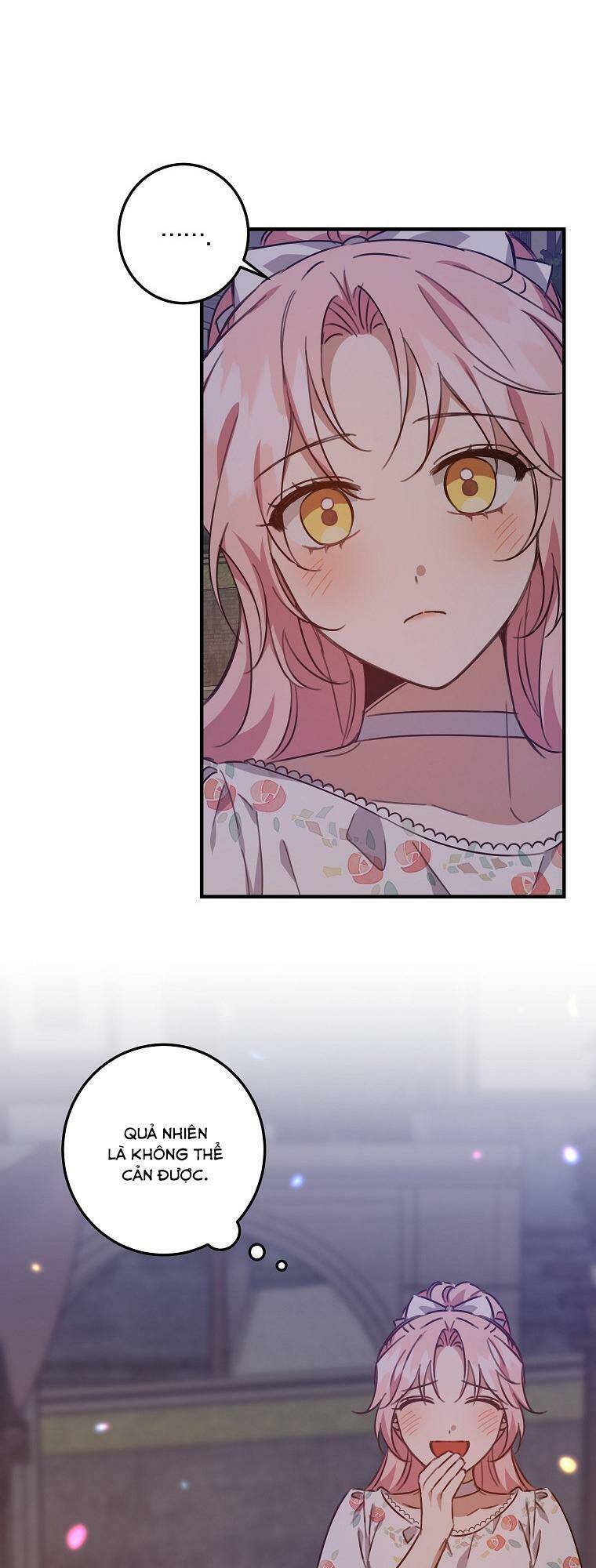 Nhân Vật Phản Diện Được Tôi Nuôi Dưỡng Tốt Chapter 17 - 47
