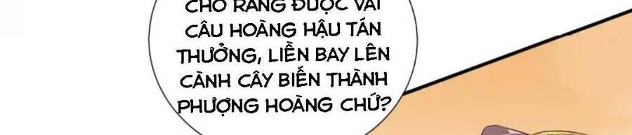 Nam Thần Ai Cũng Muốn Lấy Ta Chapter 28 - 11