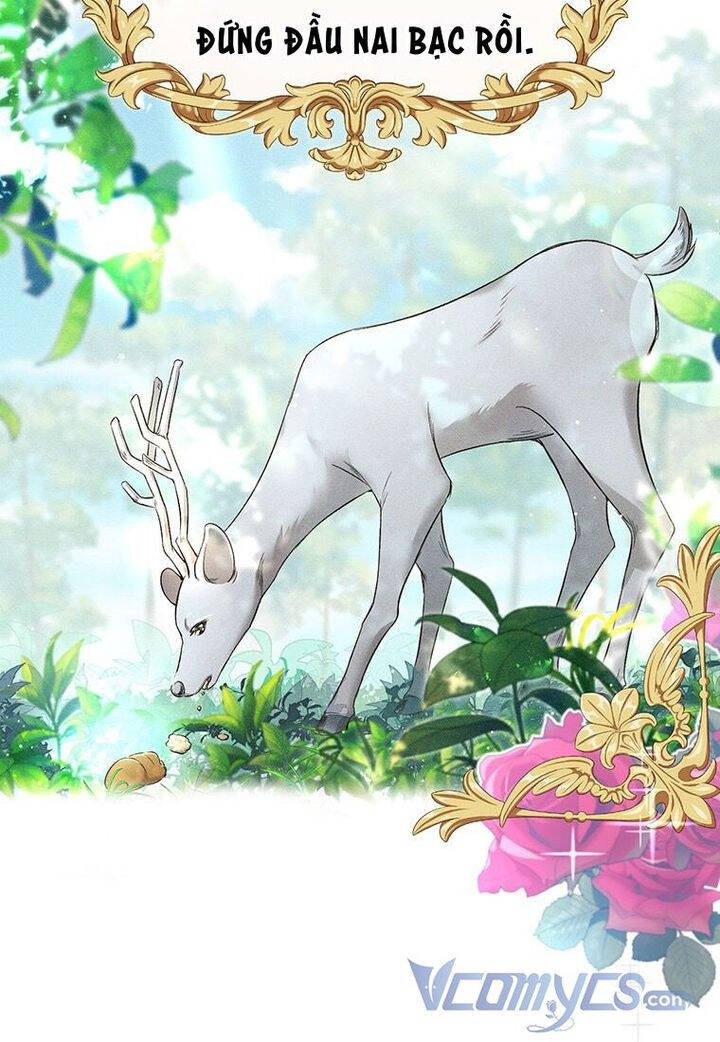 Mục Tiêu Là Tự Do Chapter 17 - 22