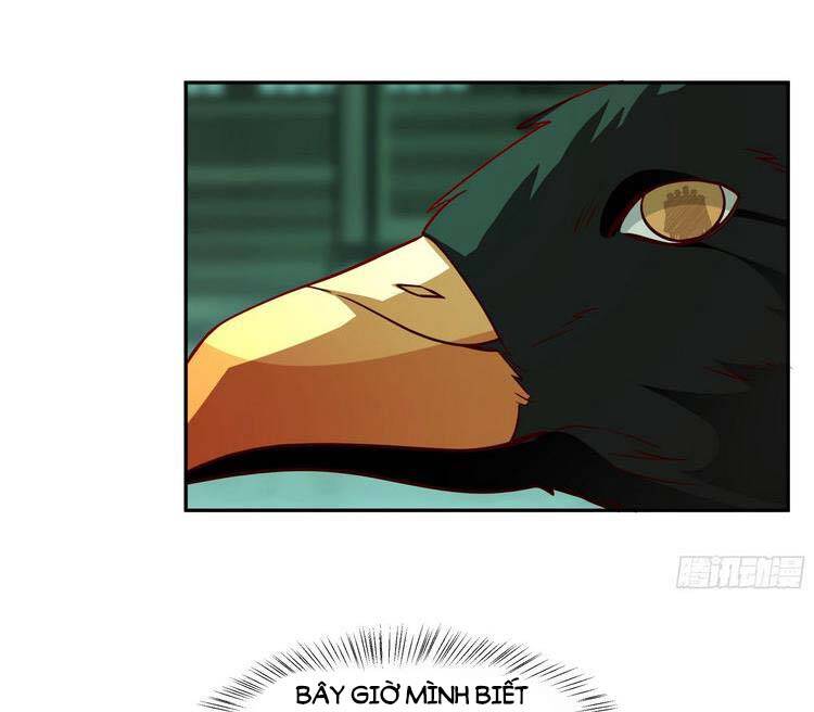 Ta Diệt Sát Chúng Thần Chapter 13 - 17