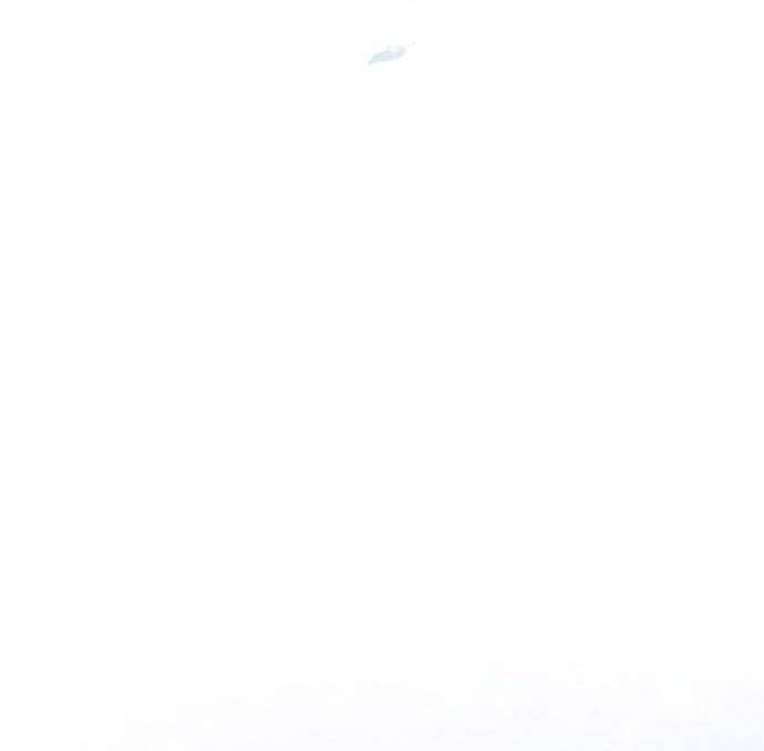 Thánh Nữ Ẩn Danh Chapter 11 - 52