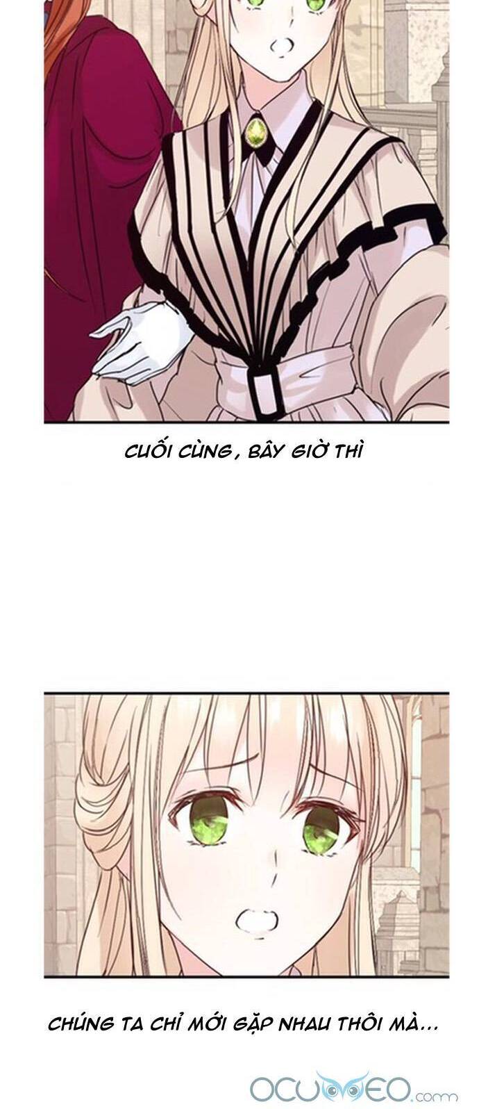 Thánh Nữ Ẩn Danh Chapter 2 - 29