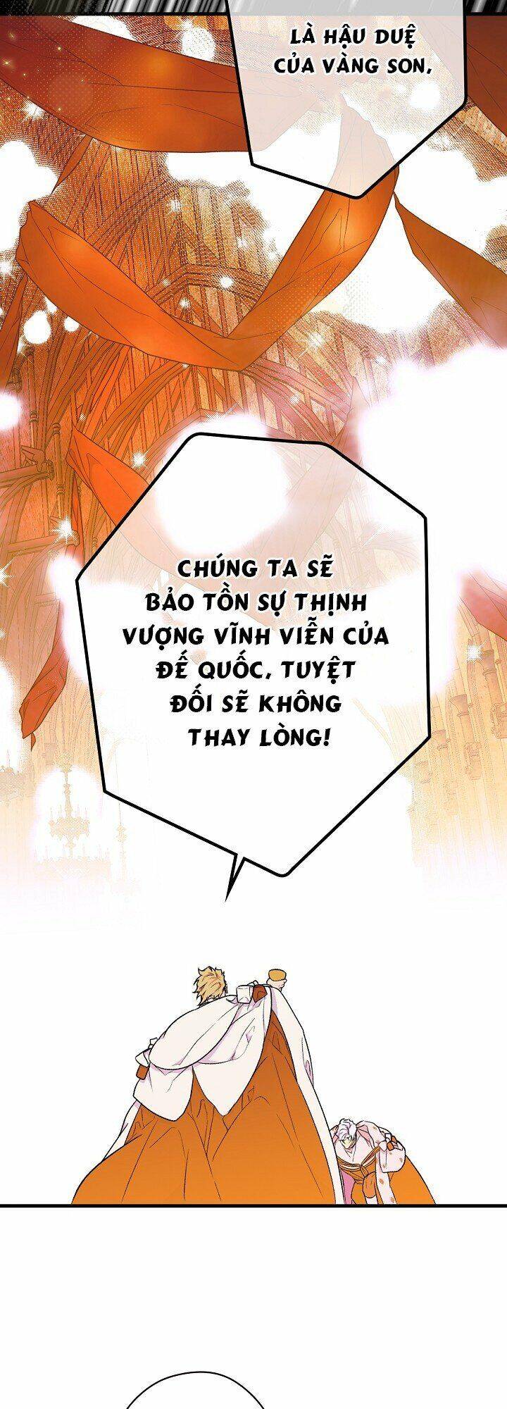 Bí Mật Của Quý Cô Chapter 12 - 26
