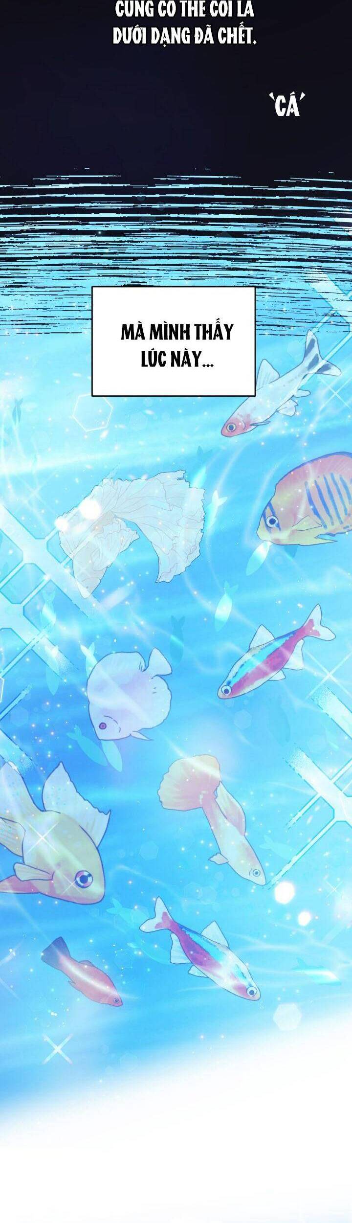 Nàng Công Chúa Tiên Cá Chapter 5 - 2