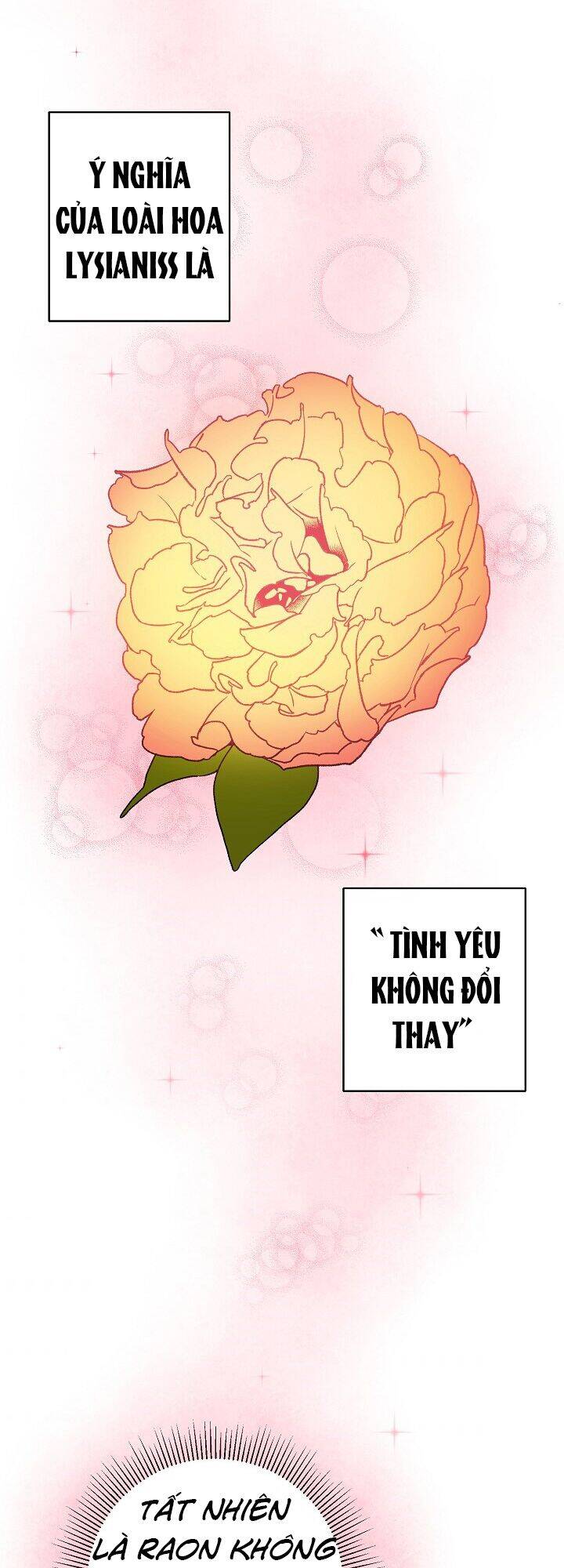 Công Nương Đã Thay Đổi Chapter 14 - 50