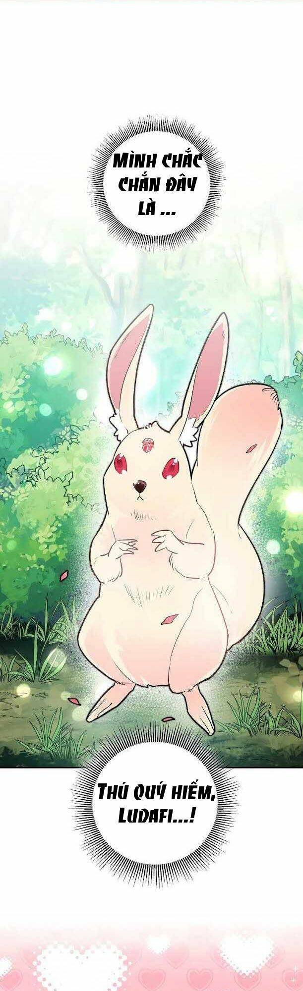 Công Nương Đã Thay Đổi Chapter 30 - 2