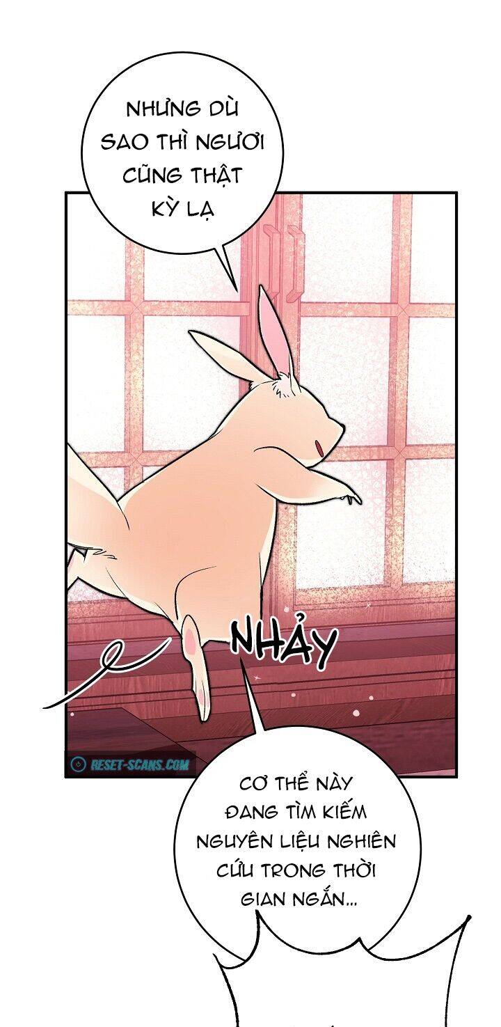 Công Nương Đã Thay Đổi Chapter 33 - 12