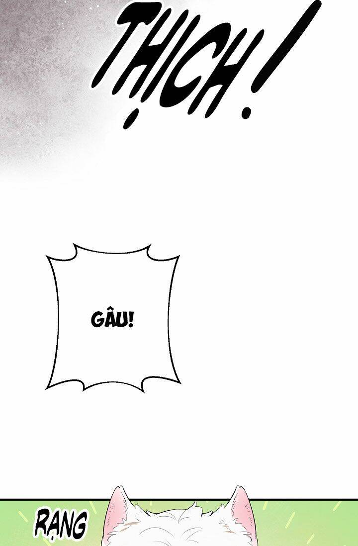 Công Nương Đã Thay Đổi Chapter 42.1 - 20