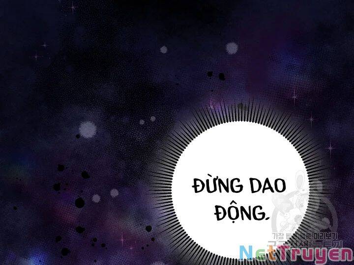 Công Nương Đã Thay Đổi Chapter 48.1 - 27