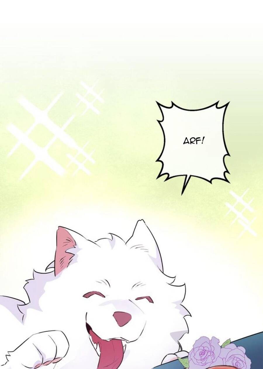 Công Nương Đã Thay Đổi Chapter 67.1 - 19