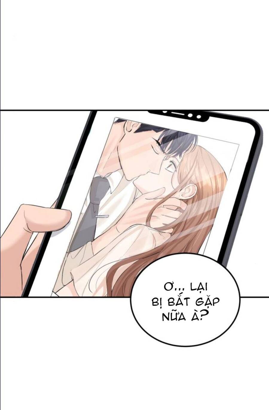 Cuộc Hôn Nhân Hoàn Hảo Chapter 12.2 - 11