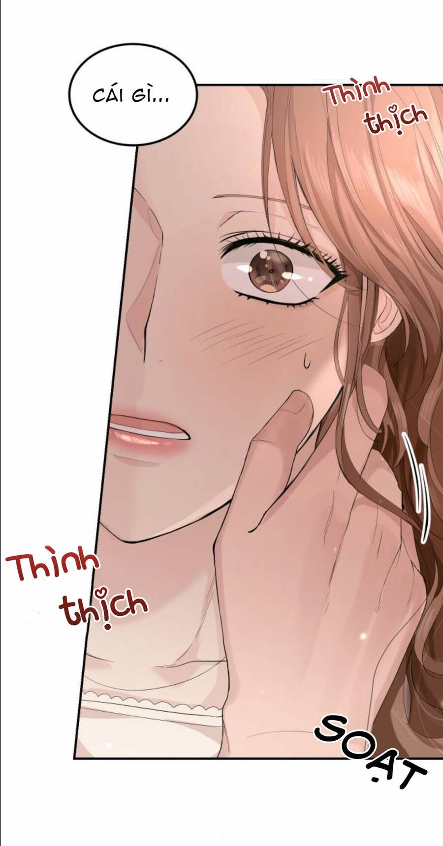 Cuộc Hôn Nhân Hoàn Hảo Chapter 12.2 - 6