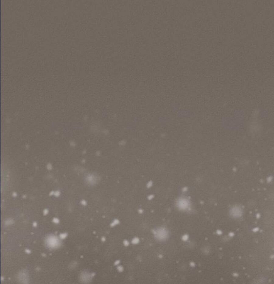 Cuộc Hôn Nhân Hoàn Hảo Chapter 14.3 - 5