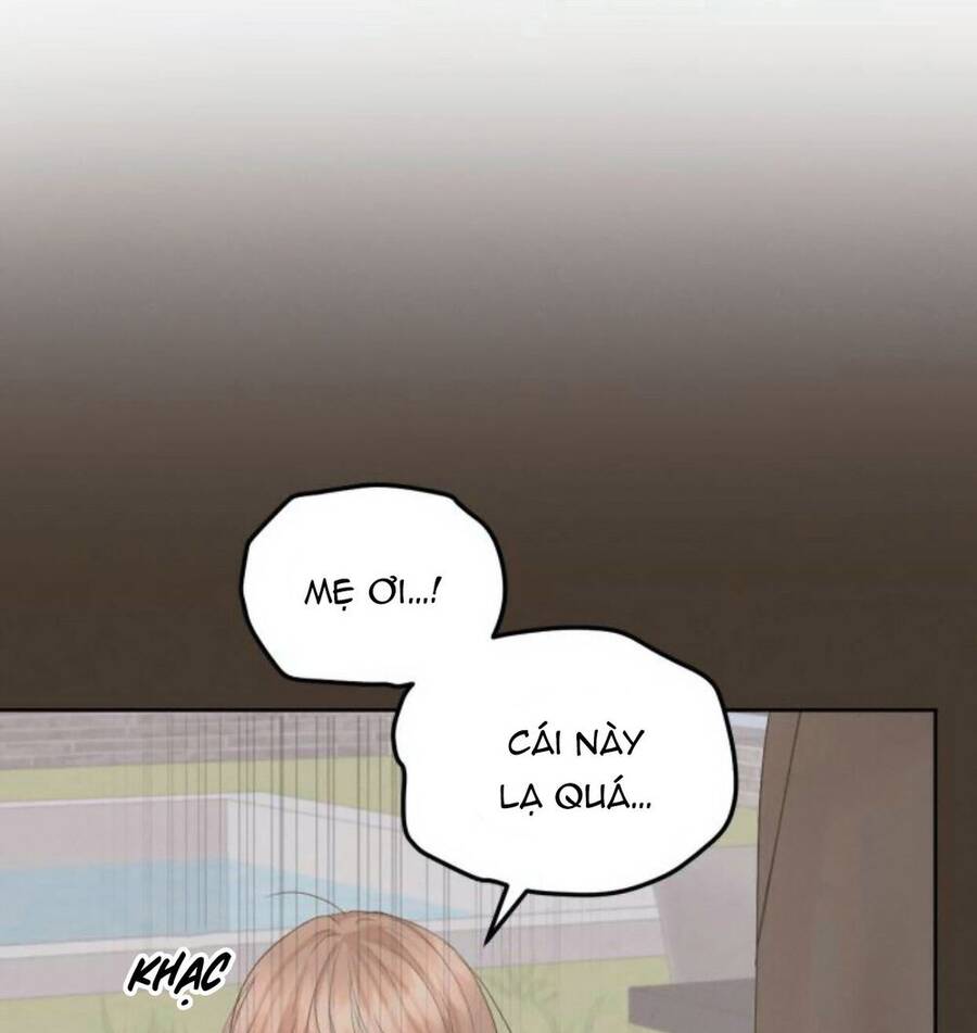 Cuộc Hôn Nhân Hoàn Hảo Chapter 19.1 - 5