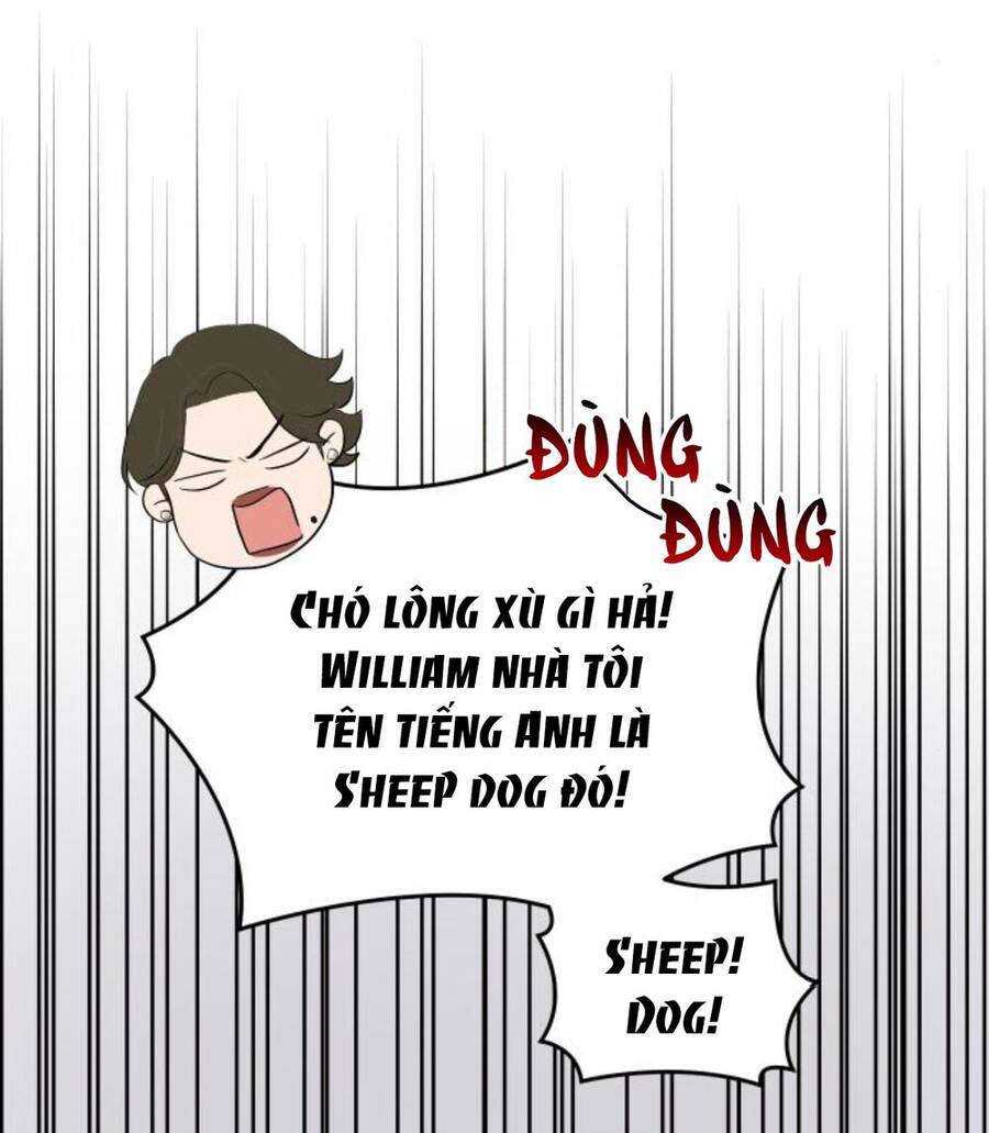 Cuộc Hôn Nhân Hoàn Hảo Chapter 26 - 70