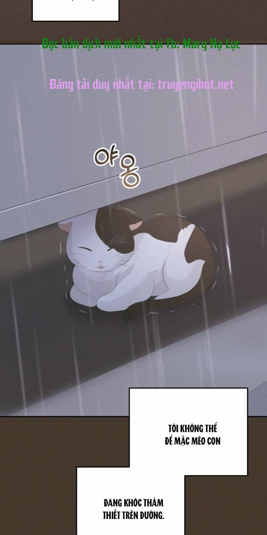 Cuộc Hôn Nhân Hoàn Hảo Chapter 39 - 58