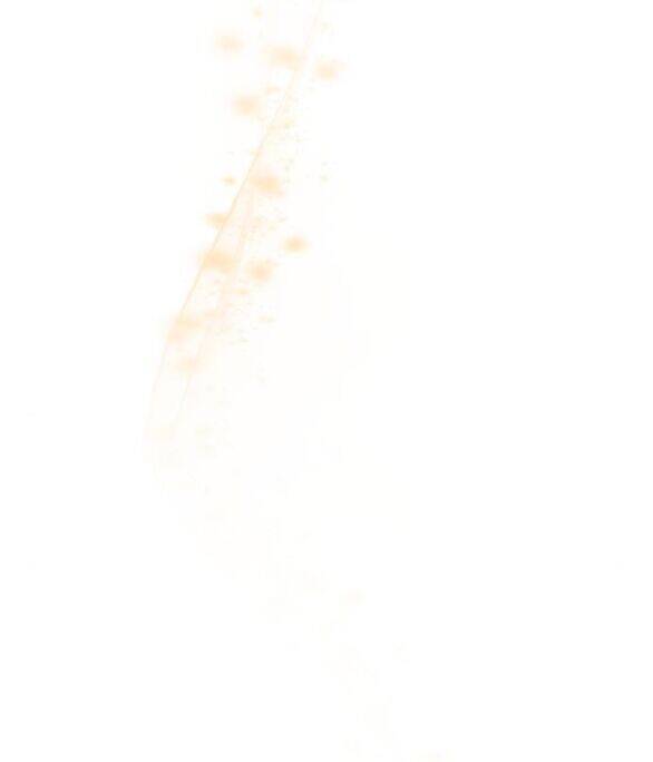 Cuộc Hôn Nhân Hoàn Hảo Chapter 61.2 - 2