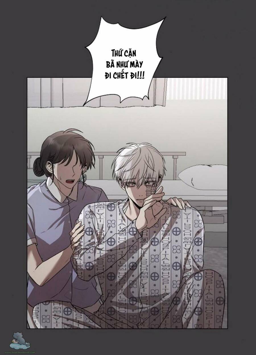 Tự Do Trong Mơ Chapter 33 - 33