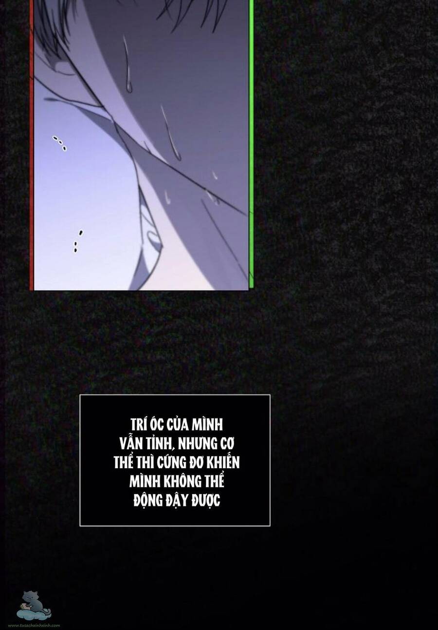 Tự Do Trong Mơ Chapter 33 - 52