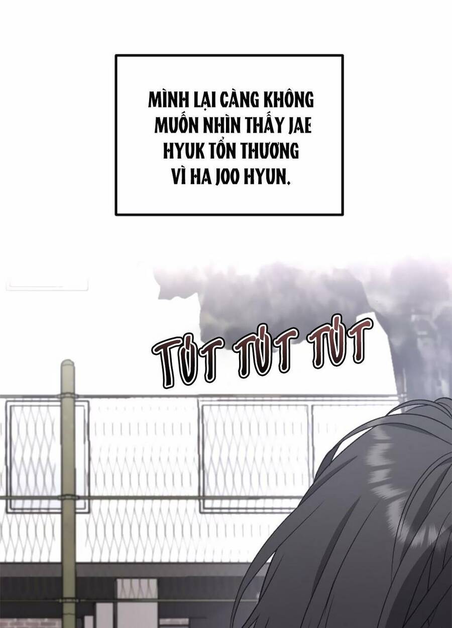 Tự Do Trong Mơ Chapter 38 - 78