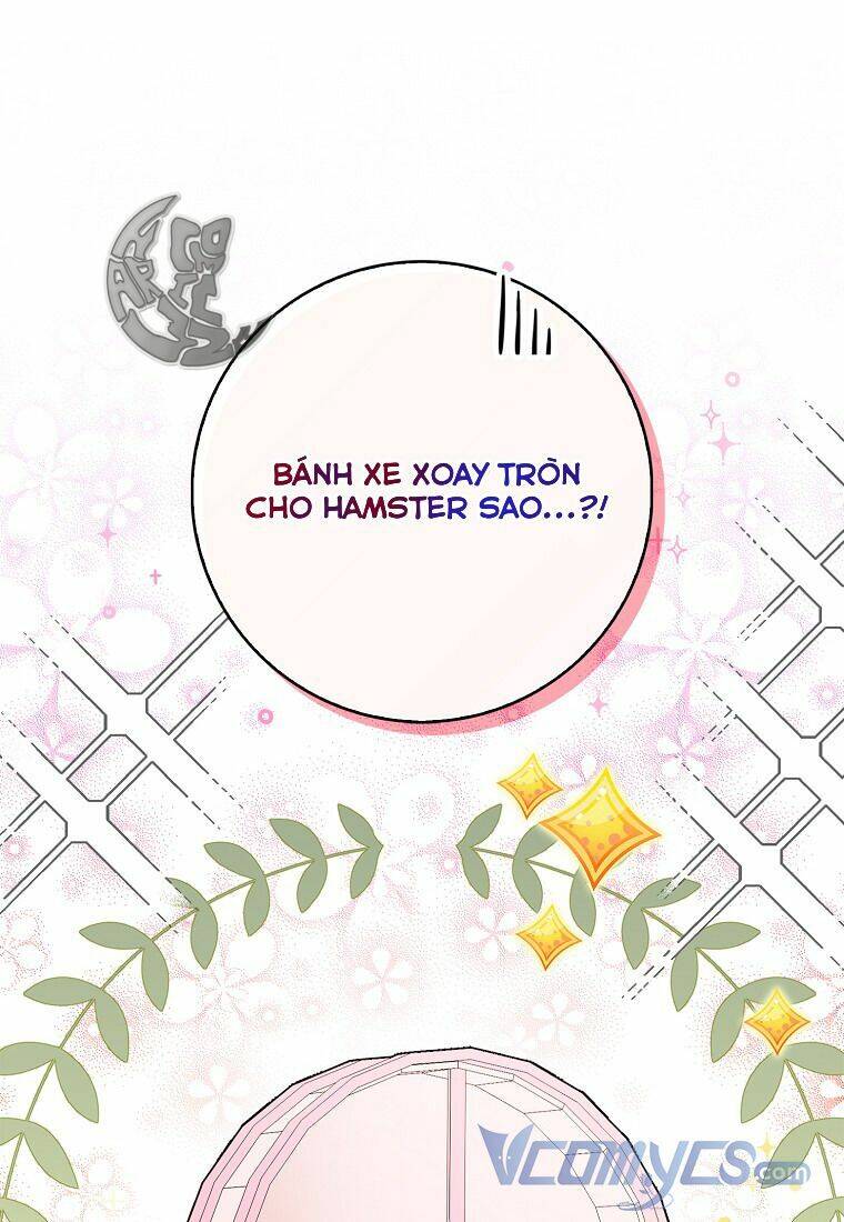 Sóc Con Tài Năng Chapter 11 - 16