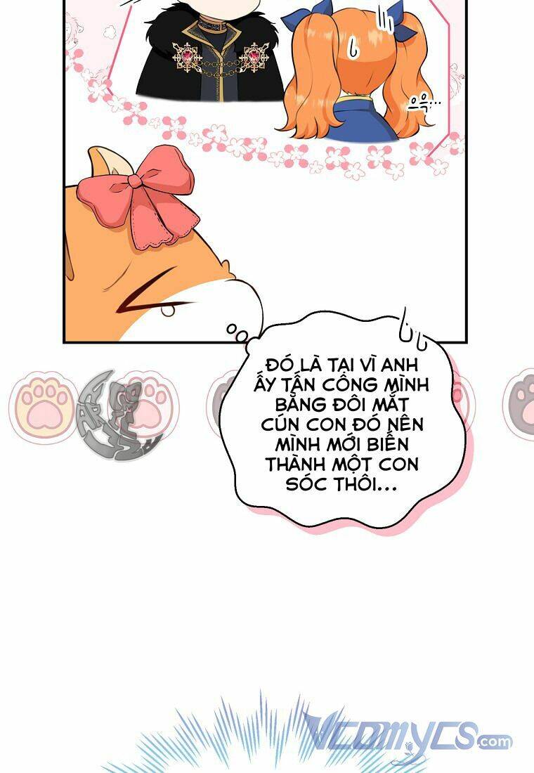 Sóc Con Tài Năng Chapter 11 - 39
