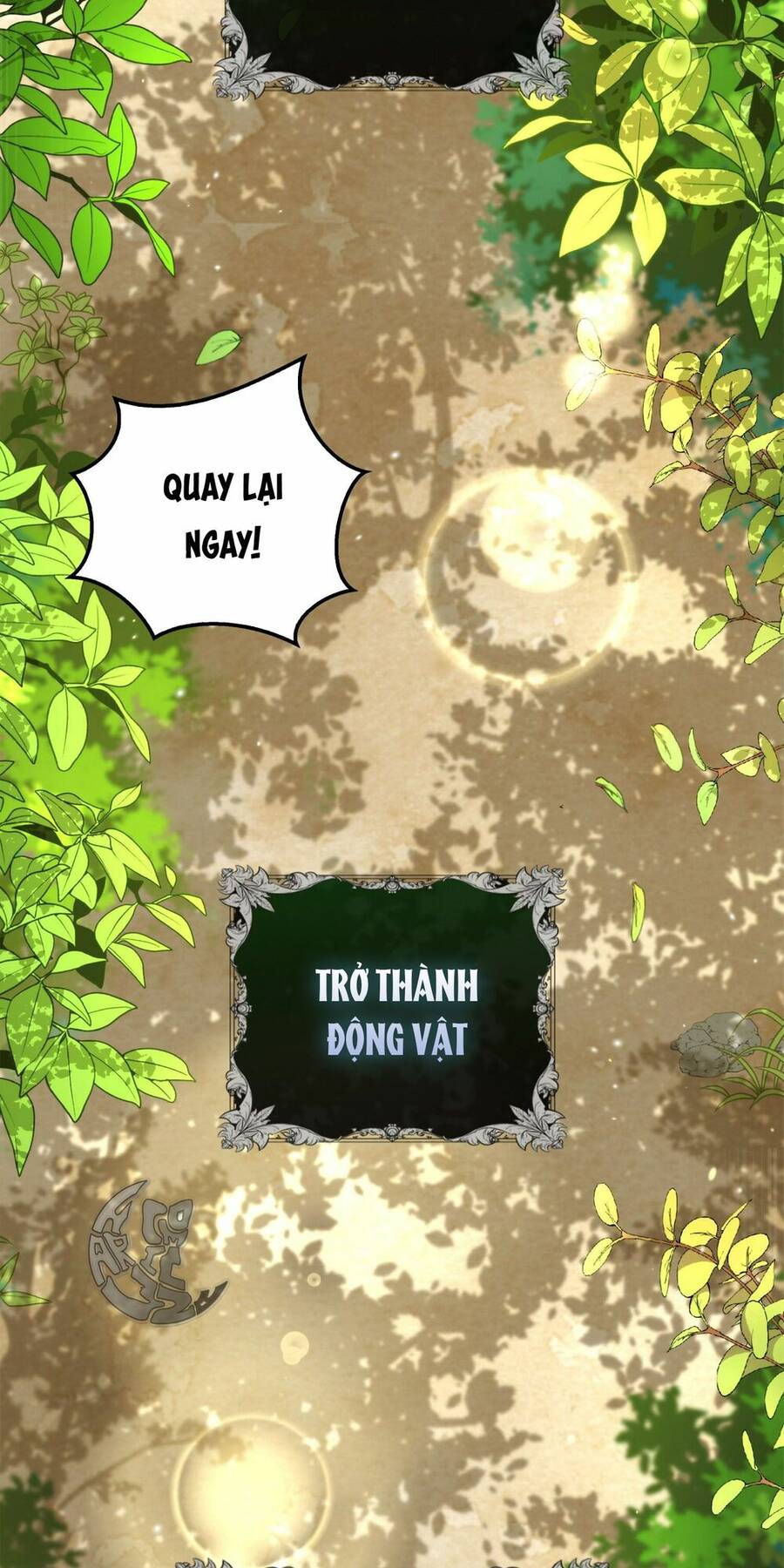 Sóc Con Tài Năng Chapter 2 - 78