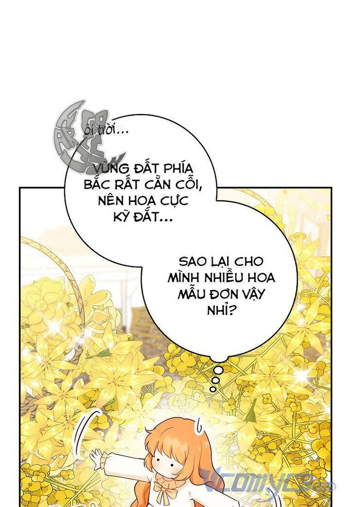 Sóc Con Tài Năng Chapter 21 - 11