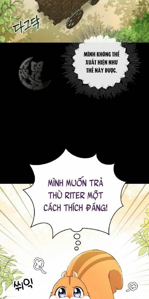Sóc Con Tài Năng Chapter 3 - 14