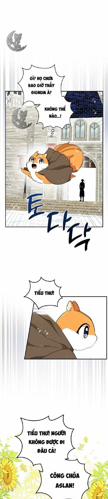 Sóc Con Tài Năng Chapter 3 - 37